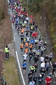 Trail du Miosson 2014 (31)